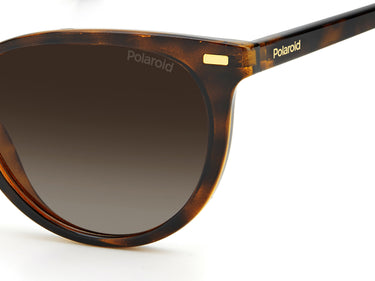 Women Polaroid Sunglasses: PLD 4107/S - Havana - SpecSMART Eye Clinic (Zoom View)